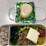 お弁当持参して正解-33日目ダイエット報告です-