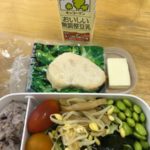 1個のチーズ-37日目ダイエット報告-