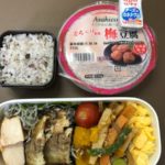 夕方にチーズを食べると夕ごはんが少なくてすむ-64日目ダイエット報告です-