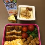 昨日うなぎの残りと鶏軟骨か美味しく、タンパク質がとれた-385日目ボディメイク報告です-