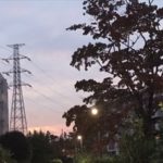 だいぶ体の調子が戻ってきたようで写真が撮れた2018.10.16