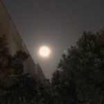 満月の日こんなにハッキリ見たのはいつぶりか？