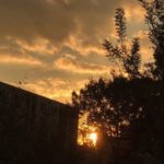 iPhoneで夕日をいつもと違う角度から撮ってみた2018.10.30