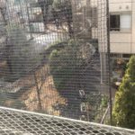雨の日朝部屋からの1枚・昼前に見るとなんとシートがかぶされていてよくみれない残念だ2018.12.17