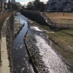 立春だった今日の11時頃ダウンコートがなしで善福寺川沿いの散歩・風はあっても気持ち良かった2019.2.4