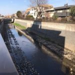 善福寺川のカモに再び癒され退院後のリハビリ外来にて2019.2.23