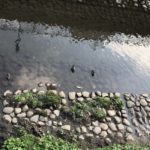 2019.3.5火曜日kazuminお気に入り写真集