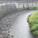 雨の時の善福寺川、はじめてみたらなんだか綺麗にみえたリハビリ前の時間2019.5.2