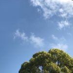腹式呼吸をする毎日、スッキリ気持ちよくなり心も落ち着く2019.5.16