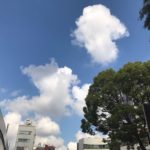 仕事完全復帰のための早起きが出来て朝の気持ち良さを実感2019.5.17