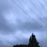 傘をささない日はいいですね・19時でもまだ明るく感じる2019.7.8