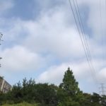 朝7時から晴れた空をみれたのは久しぶり・梅雨明けはまだなのか？2019.7.25