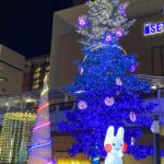 クリスマス当日に思うクリスマスイルミネーションの素敵なこと2019.12.25